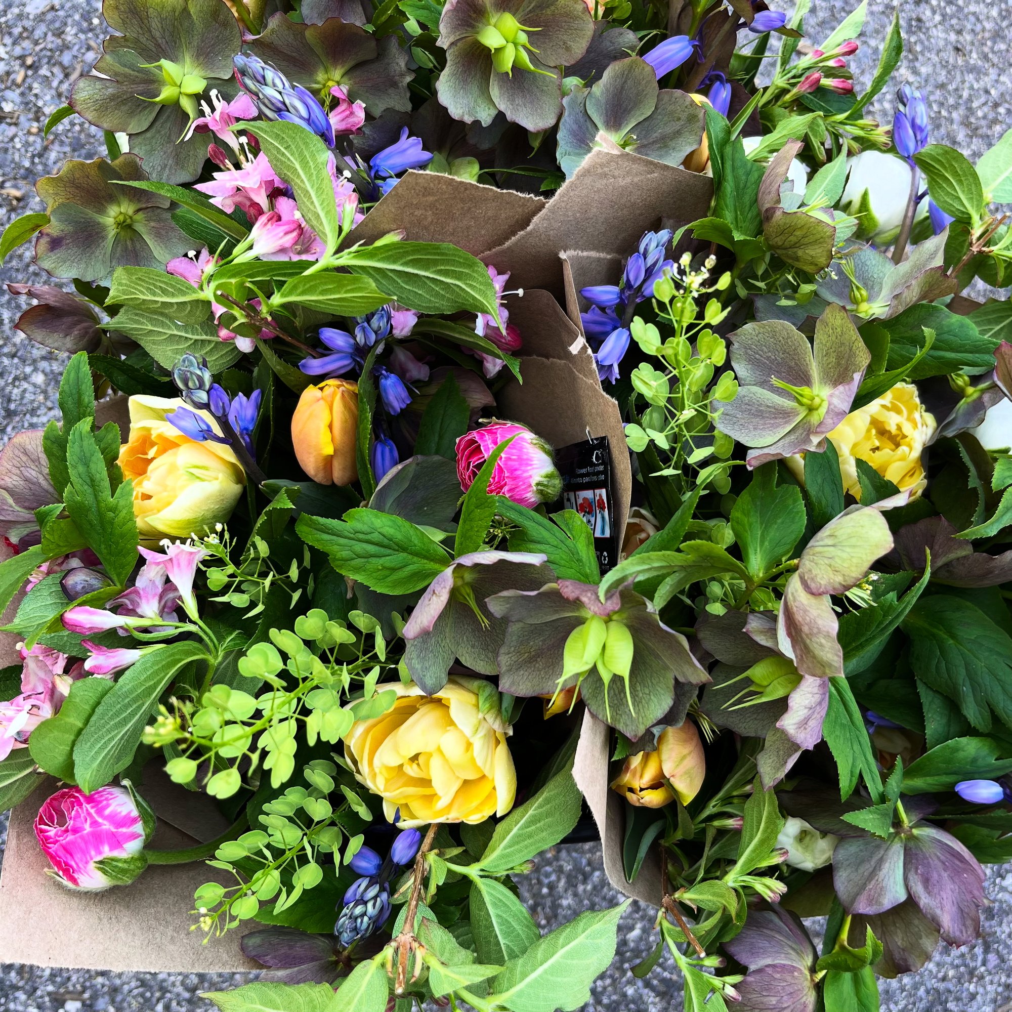 D4A015A8-F3A9-4075-AEF0-0DDA0CF43B6A D4A015A8-F3A9-4075-AEF0-0DDA0CF43B6A